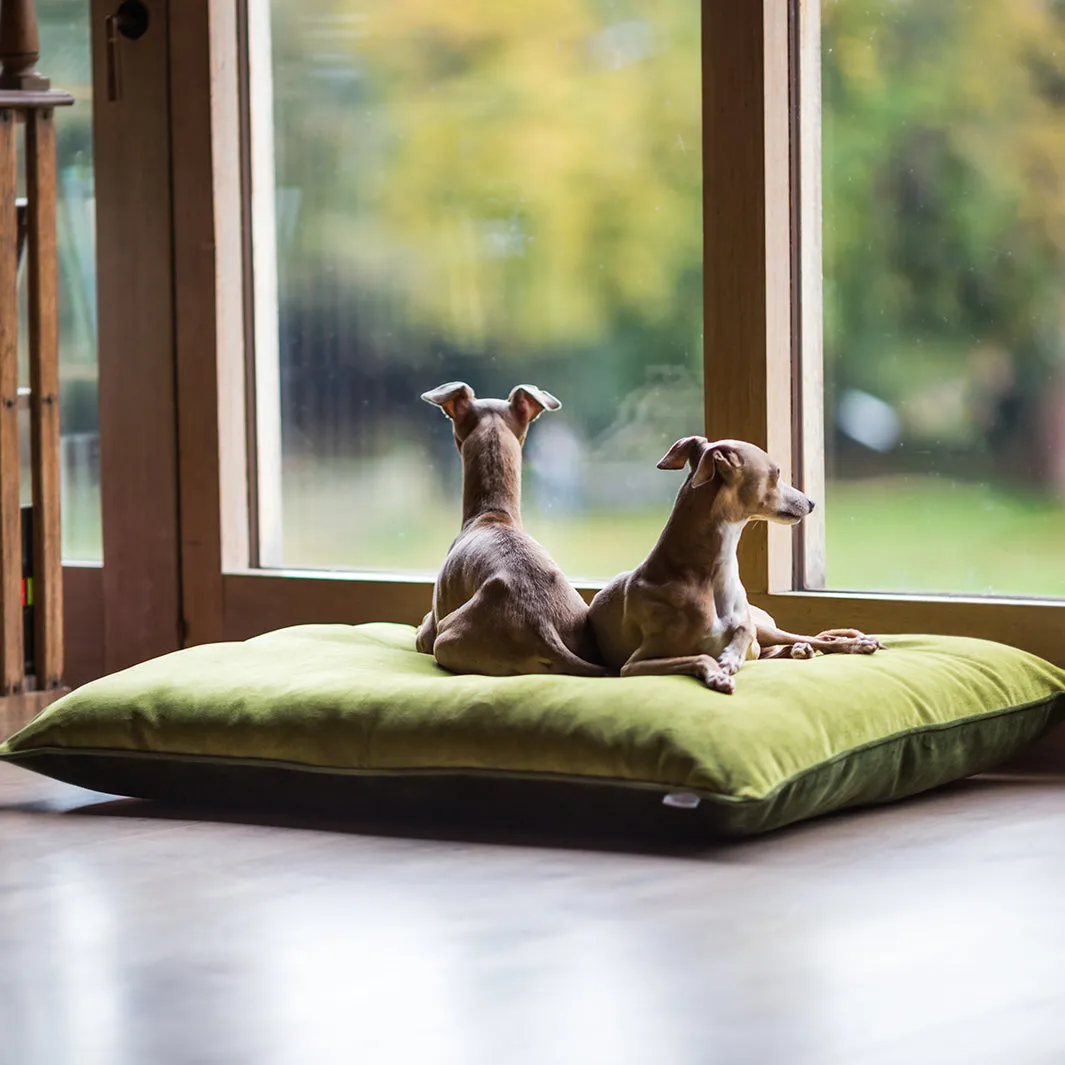 Day Bed in Velour Contrast