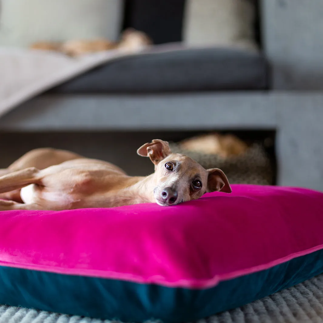 Day Bed in Velour Contrast