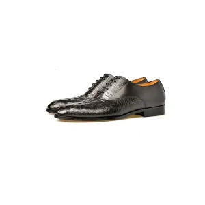 Diamoré Office Luxe Brogues