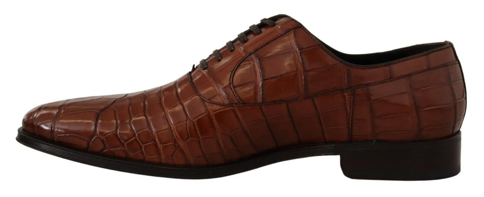 Dolce & Gabbana Brown Crocodile Leather Mens Formal Derby Shoes