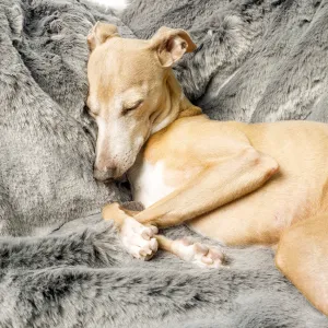 Faux-Fur Dog Blanket in Minky Grey