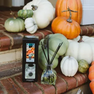 Harvest Pumpkin Reed Diffuser