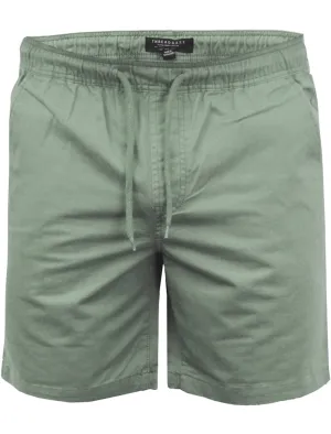 Morley Cotton Twill Chino Shorts in Mint