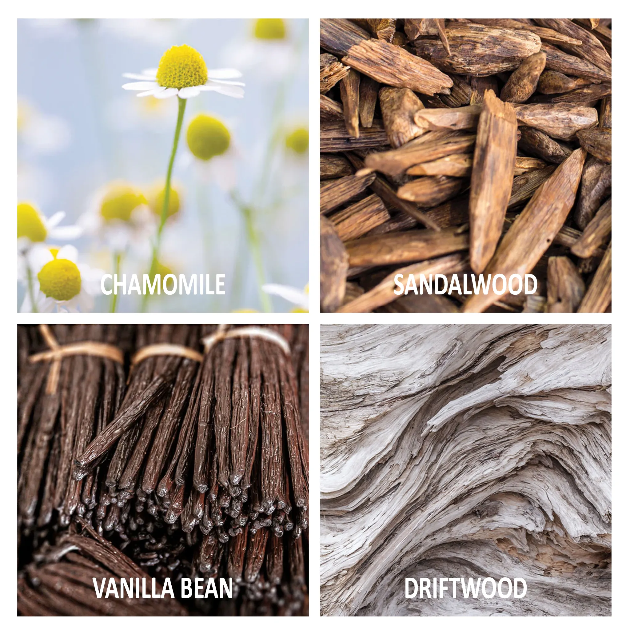 Nest New York - Driftwood and Chamomile Collection