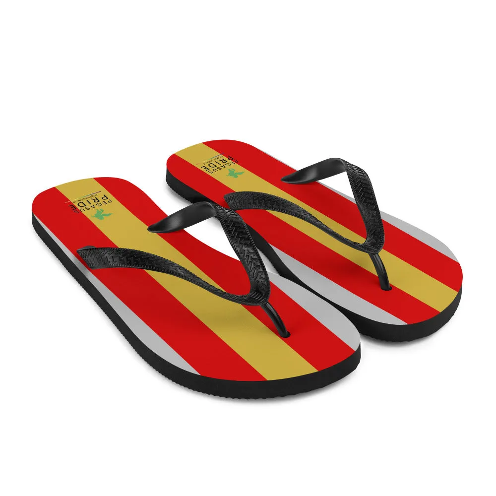 Proculsexual Pride Flag Flip-Flops