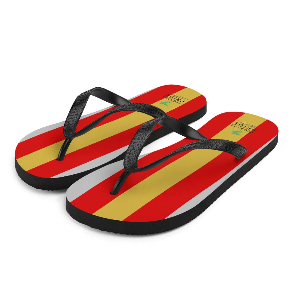 Proculsexual Pride Flag Flip-Flops