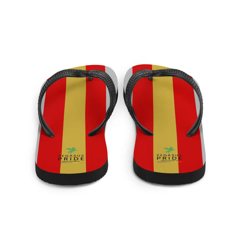 Proculsexual Pride Flag Flip-Flops