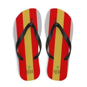 Proculsexual Pride Flag Flip-Flops