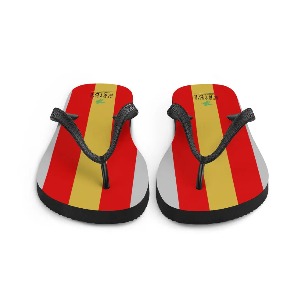 Proculsexual Pride Flag Flip-Flops