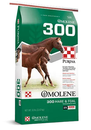 Purina® Omolene #300® Growth Horse Feed